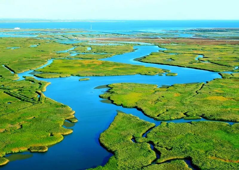 魅力大洼 商機(jī)無限 | 遼寧盤錦大洼區(qū)招商引資推介 2509142.jpg