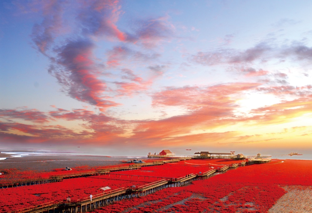 魅力大洼 商機(jī)無限 | 遼寧盤錦大洼區(qū)招商引資推介 2509143a.jpg