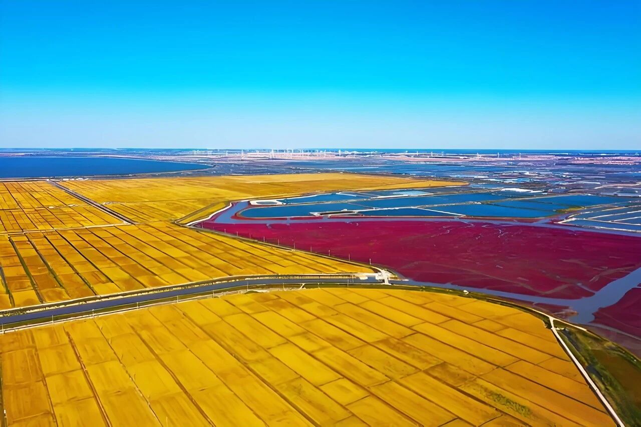 魅力大洼 商機(jī)無限 | 遼寧盤錦大洼區(qū)招商引資推介 2509145.jpg