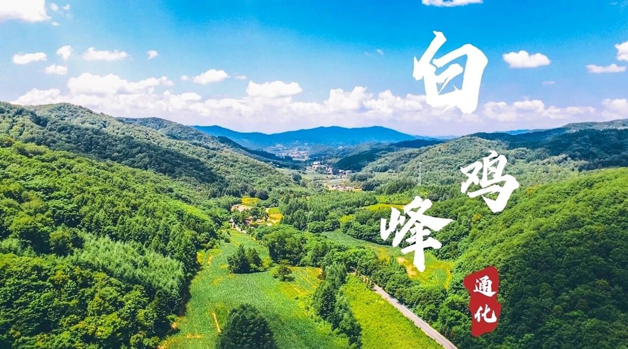 參藥寶地 繁榮東昌 | 吉林通化東昌區招商引資推介