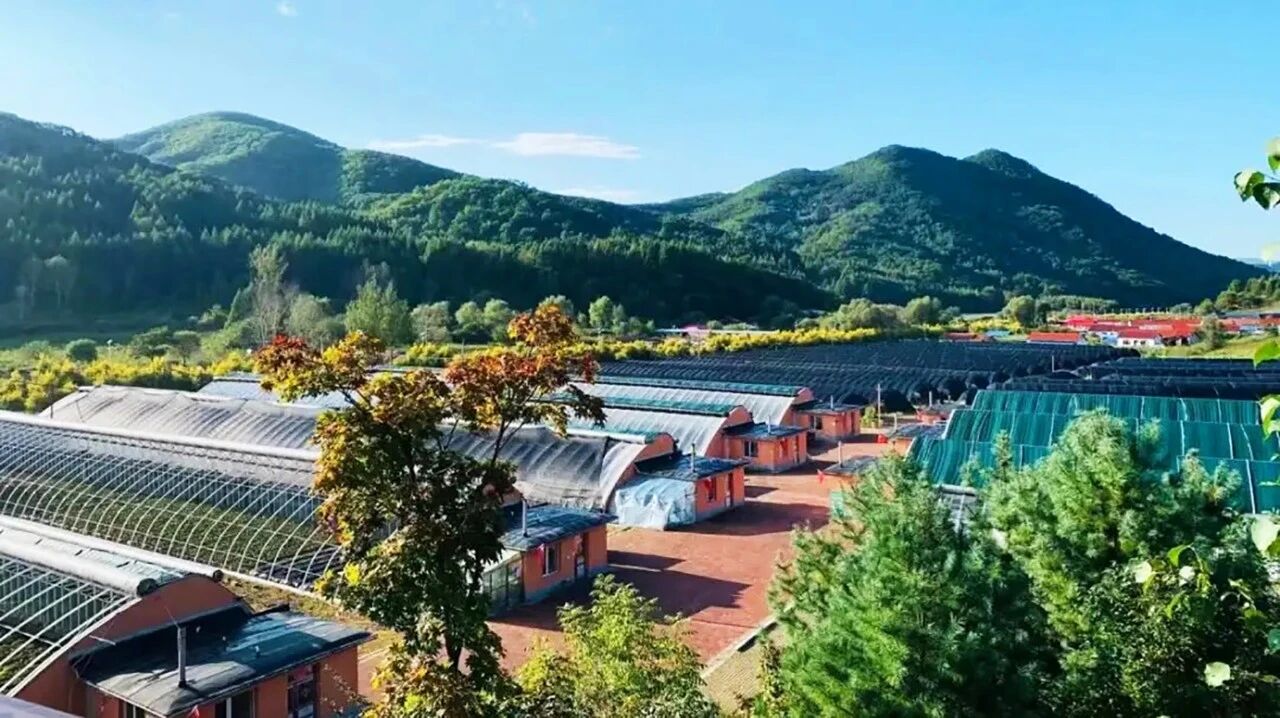 參藥寶地 繁榮東昌 | 吉林通化東昌區招商引資推介