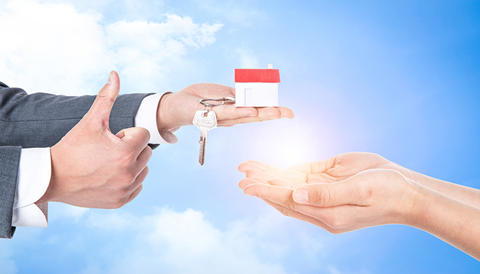 政策服務(wù)平臺